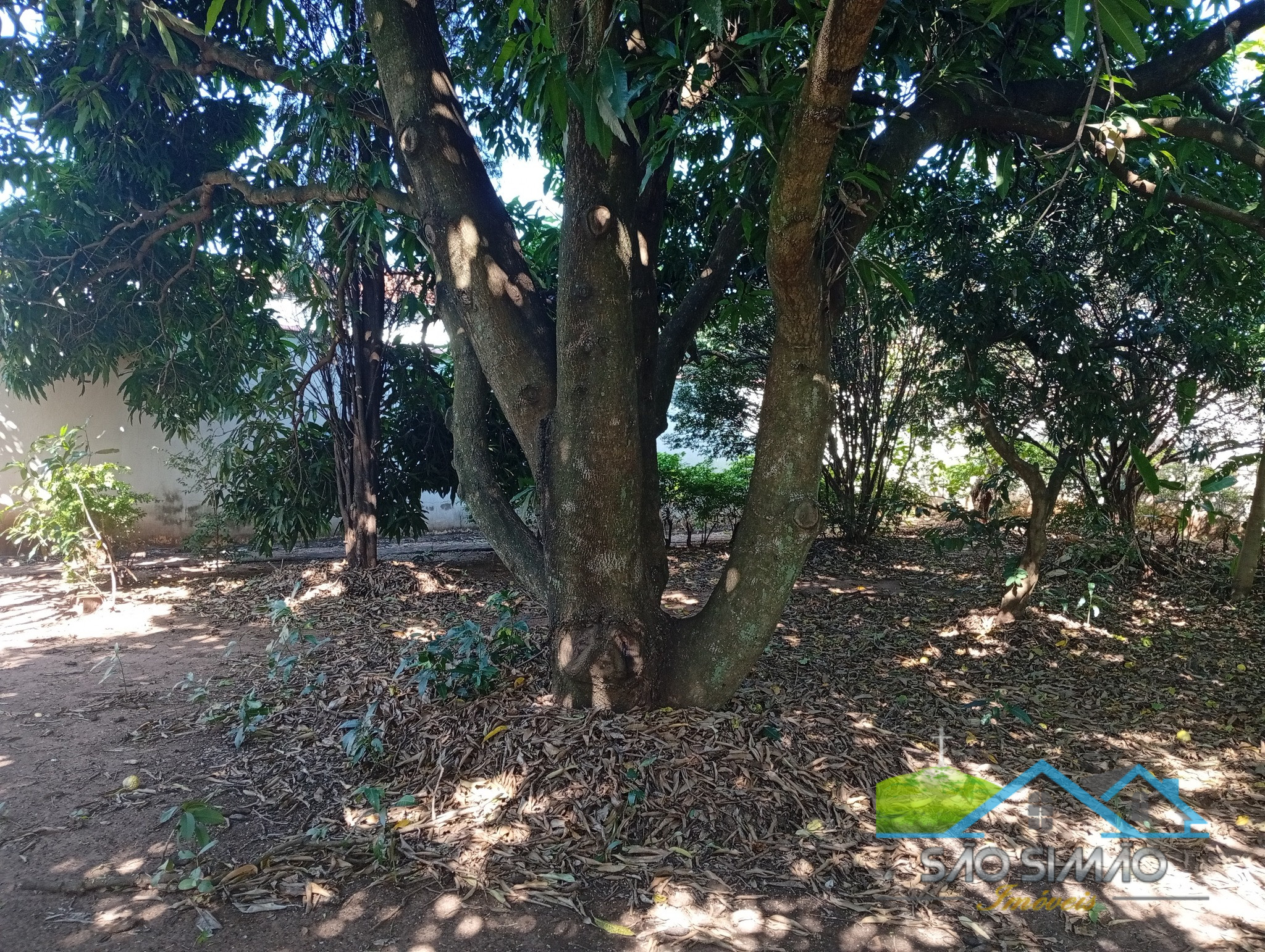 Belíssimo imóvel à venda em São Simão SP - 3 quartos sendo 2 suítes