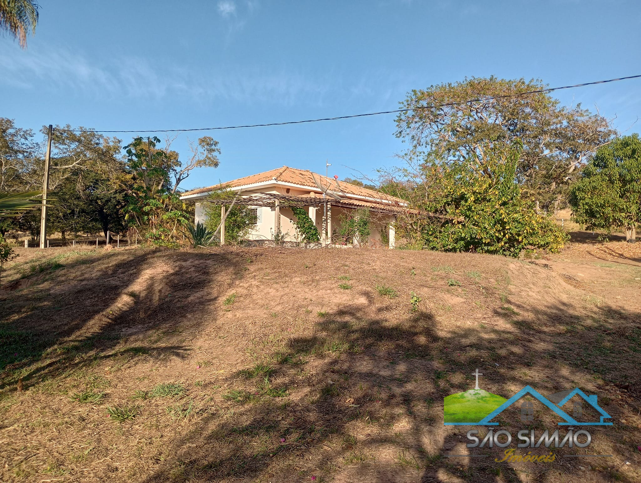 Sítio a venda em São Simão SP,  oportunidade rara