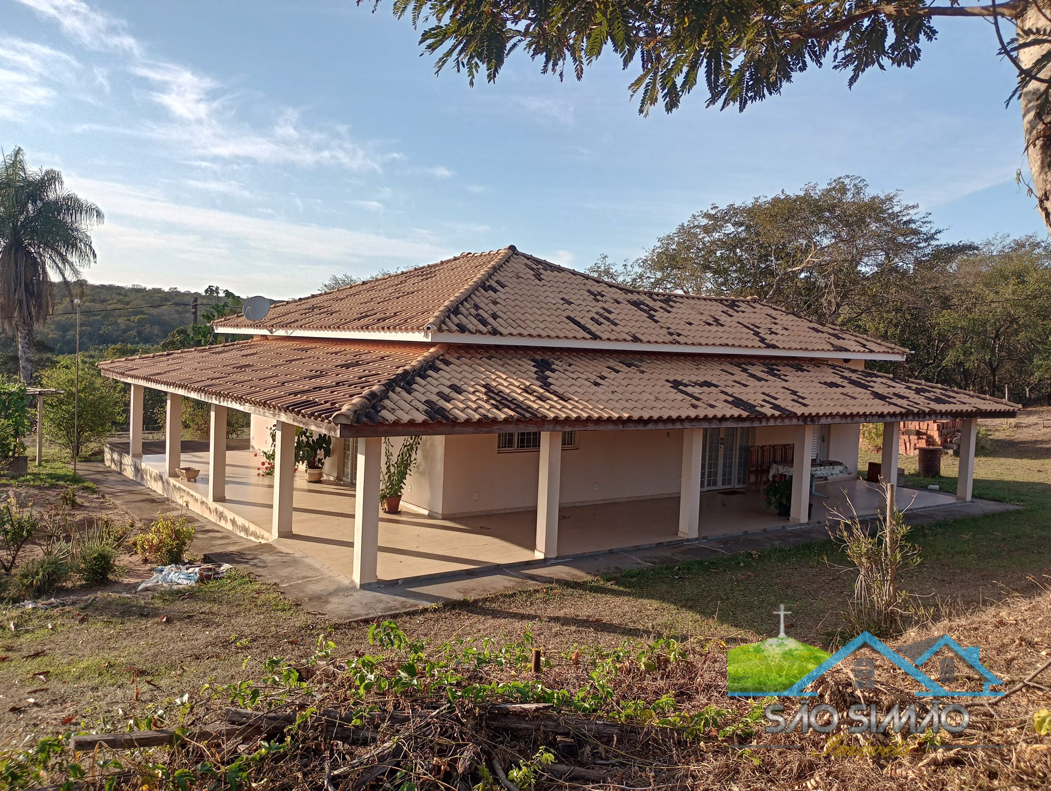 Sítio a venda em São Simão SP,  oportunidade rara