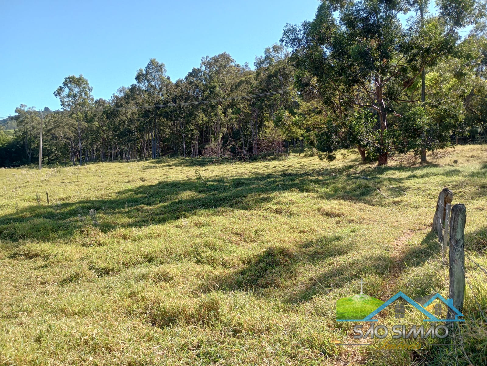 Terreno a venda em São Simão com 7 alqueires