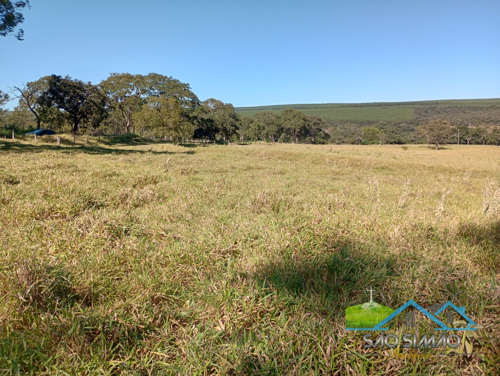 Terreno a venda em São Simão com 7 alqueires