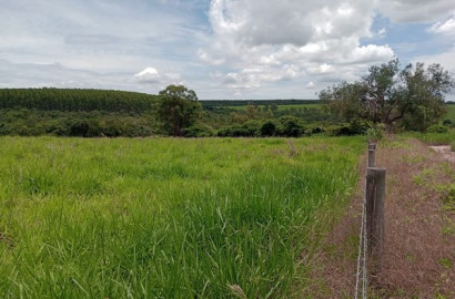 Sítio 2,5 alqueires em São Simão SP