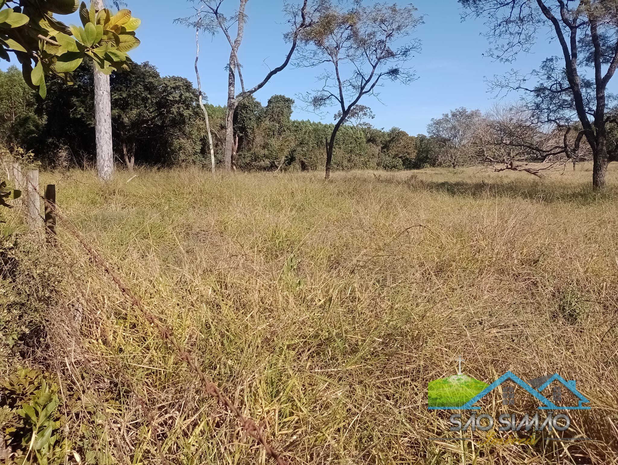 Sítio 5 alqueires a venda em São Simão SP
