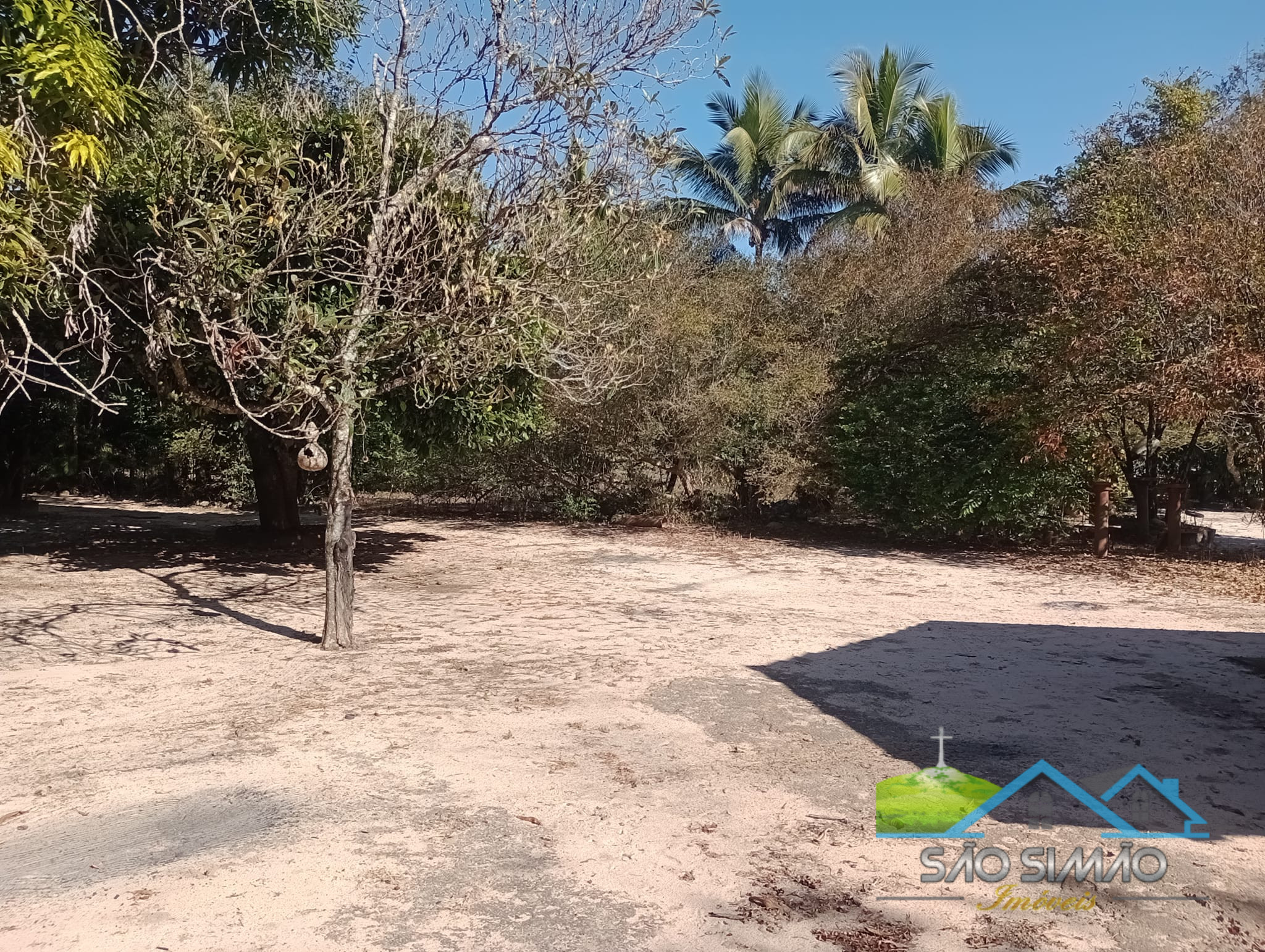 Sítio 5 alqueires a venda em São Simão SP