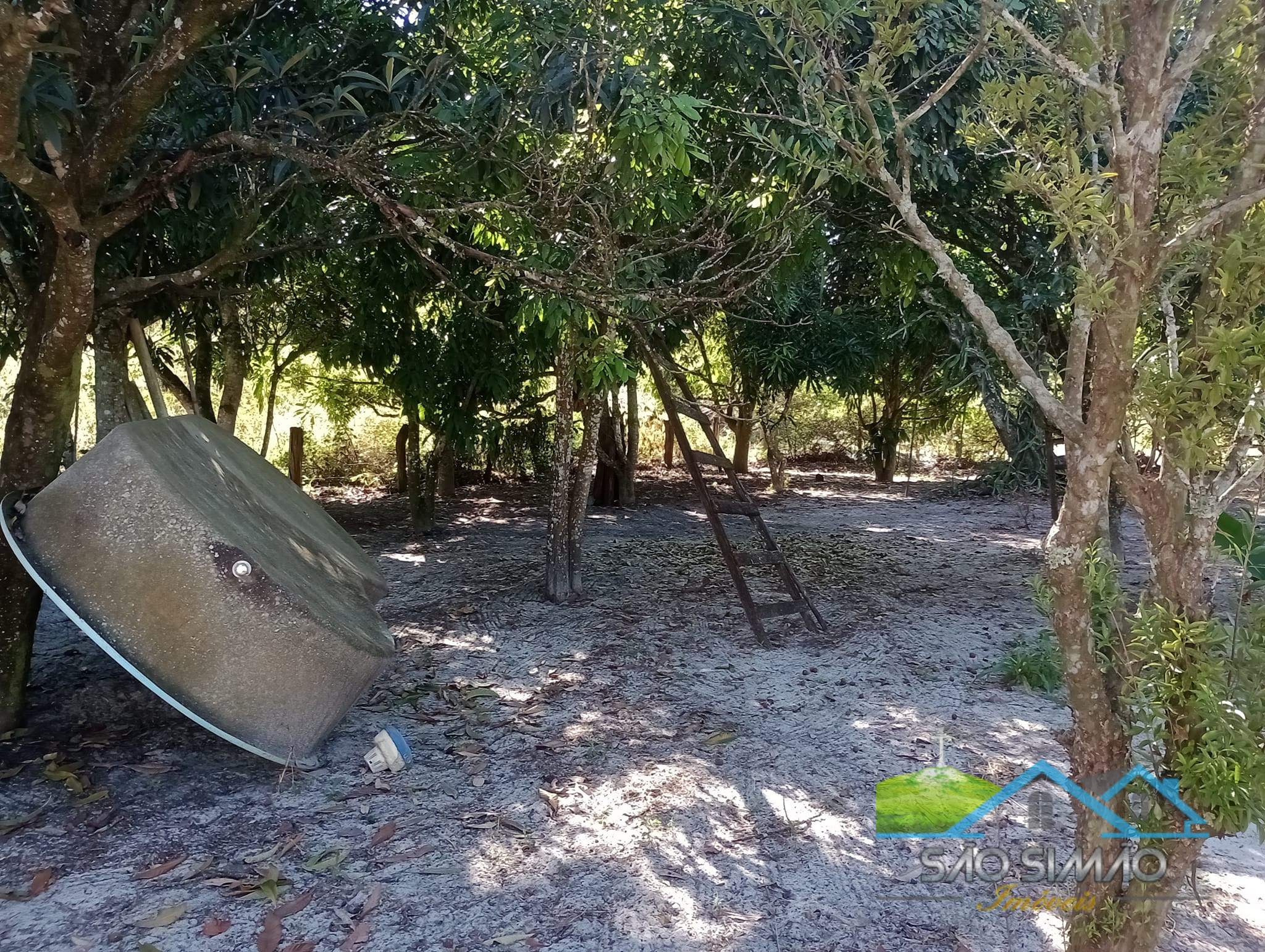 Sítio 5 alqueires a venda em São Simão SP