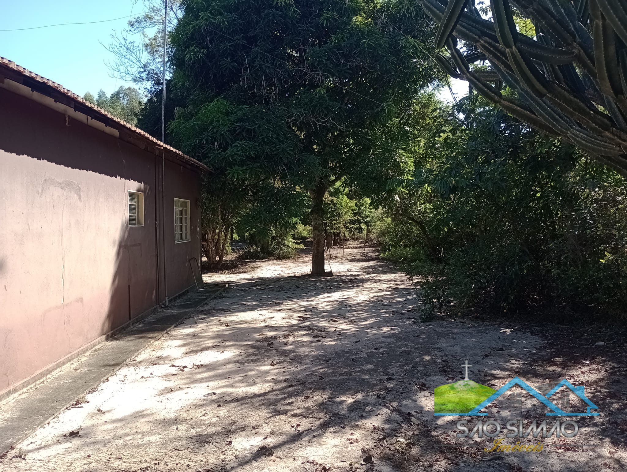 Sítio 5 alqueires a venda em São Simão SP